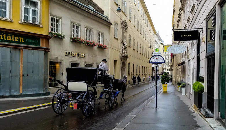 Horse drawn carriage in Vienna