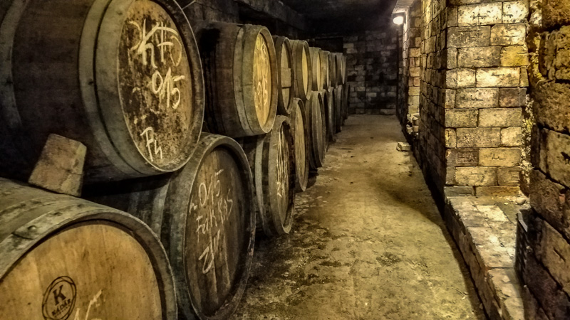 Wine cellar at the Raspi Vineyard