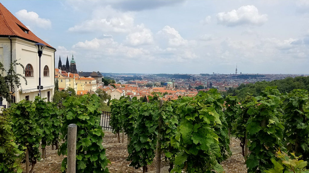 View of Prague from the monastery