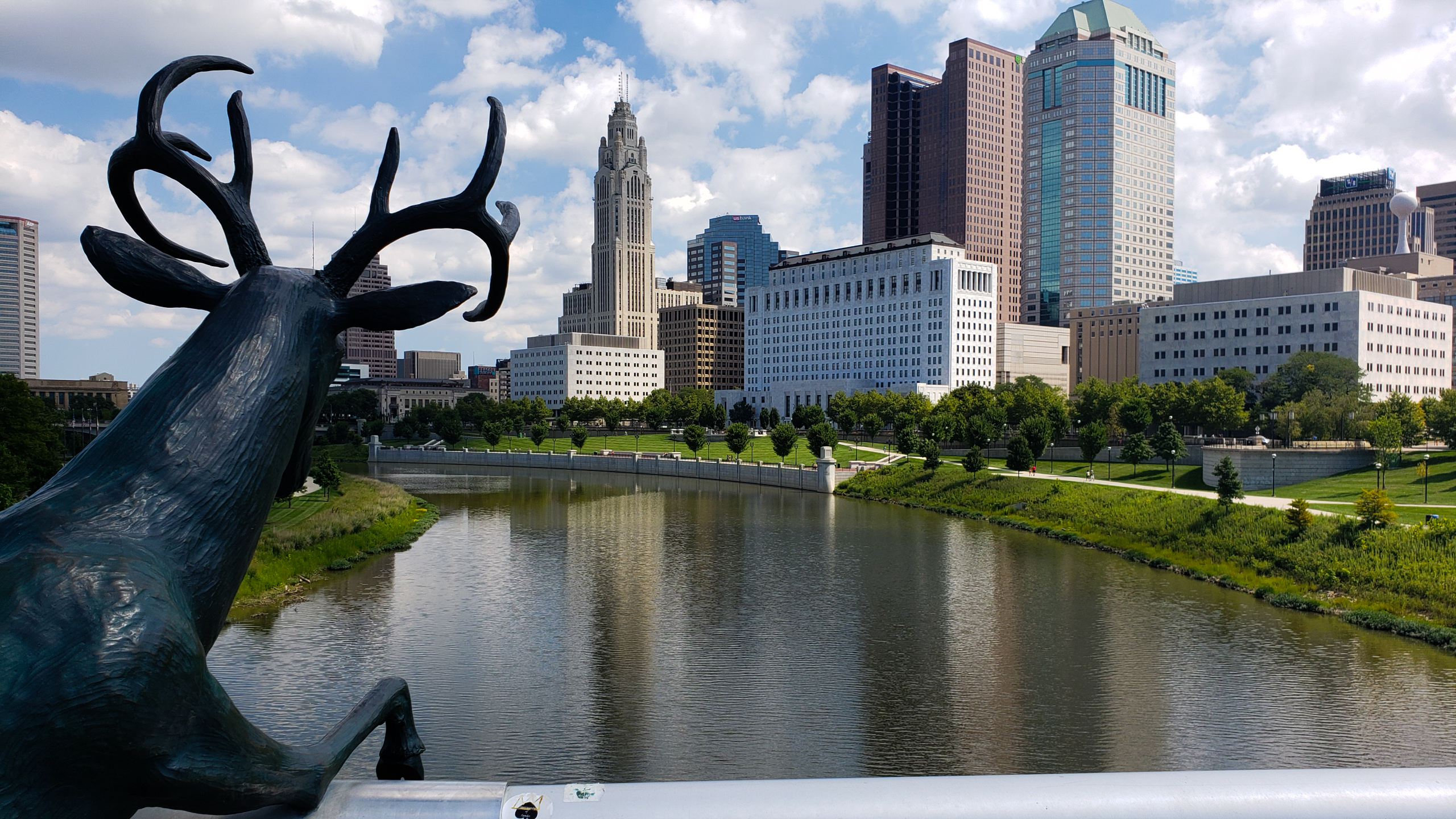 Downtown Columbus from a deer's perspective